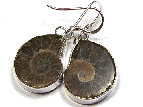 Ohrringe Ammoniten in Silber gefasst